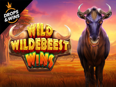 Sportsbet net